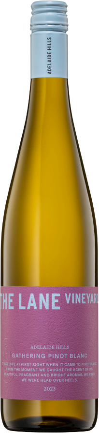 The Lane Vineyard Gathering Pinot Blanc 2023